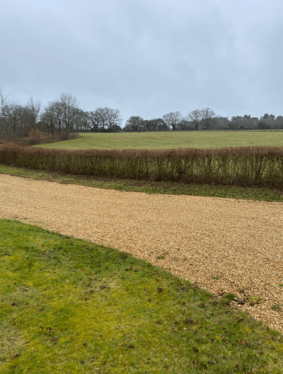 Land with Green Place